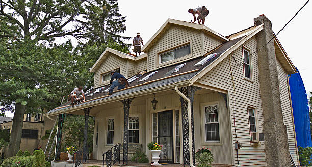 Best Storm Damage Roof Repair  in Nebo, NC