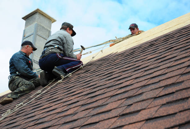 Best Roof Gutter Cleaning  in Nebo, NC